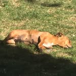 Peggy Davison - @peggy.davison.5623 - Instagram
