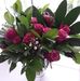 Margaret Dempsey - Facebook