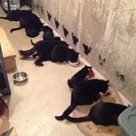 Peggy Dempsey - @peggyjean58 - Instagram
