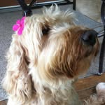 Peggy Denson - @peggy.denson1 - Instagram
