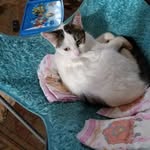 Peggy Deyoung - @pegn_pete - Instagram