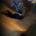 Peggy Dodge - Facebook