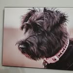 Peggy Dodge - @peggydodge1 - Instagram