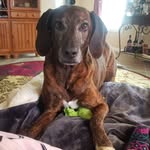 Peggy Lear Dodge - @leardodge - Instagram