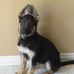 Peggy Doiron - Facebook