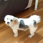 Peggy Doiron - @peggy.doiron.9 - Instagram