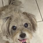 Peggy Doolittle - Facebook