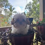 Peggy Doolittle - @peggy.doolittle - Instagram