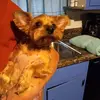 peggydoss900 - @peggydoss900 - TikTok