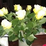 Peggy Doty - @pegd135 - Instagram