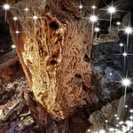 Peggy Doty - @peggy.doty.319 - Instagram