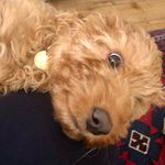 Peggy douglas - @peggypoo8 - Instagram