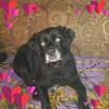 douglas - @peggydouglas31 - TikTok