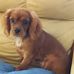 Peggy Downing - Facebook