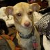 Peggy Downing - Facebook