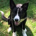 Peggy Downing Harris - @peggyharris.phd - Instagram