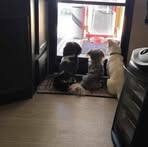 Peggy Driver Elmore - Facebook