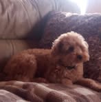 Peggy Drum - Facebook