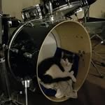 Peggy the drummer - @peggy._the_.drummer - Instagram