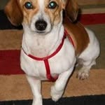 Peggy M. Guidry - @peggy.guidry - Instagram
