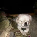 Mike Duran Peggy Duran - @mikeduranpeggyduran - Instagram