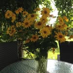 Margaret Dutton - @peggydutton - Instagram