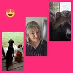 Peggy Dutton - @purple8535 - Instagram