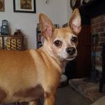 Peggy Earls Sipes - @earlssipes - Instagram