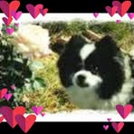 Peggy Ann Eason - Facebook