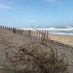 Peggy Eason - @peggy.eason.14 - Instagram