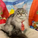 Peggy Eckes - Facebook