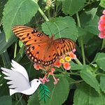 Peggy Walker Eddy - @peggywalkereddy - Instagram