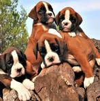 Peggy Edmonstone - Facebook