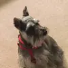 peggy eldred - @peggy.eldred - TikTok