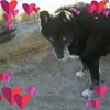 peggyeldredge773 - @peggyeldredge773 - TikTok