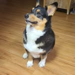 Peggy Elgin - @peggyelgin - Instagram