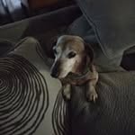 Peggy Eller - @peggyjeaneller - Instagram