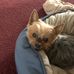 Peggy Eller - Facebook