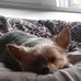 Peggy Eller - Facebook
