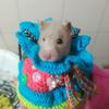 Peggy 🐹 - @peggy_el_raton_ - TikTok
