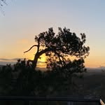 Peggy Elsner - @peggy_elsner_ - Instagram