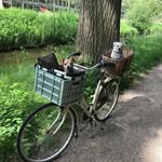 Peggy Ernst - @ernst_peggy - Instagram