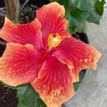 Peggy Evenson - @peggy_evenson4810 - Instagram