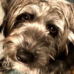 Peggy ewing - @pegleemax2 - Instagram