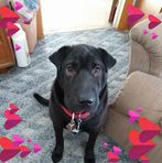 Peggy Fair - Facebook