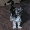peggy fair - @peggy.fair1 - TikTok