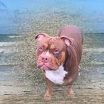 Peggy Farmer Mann - @peggyfarmermann - Instagram