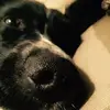 peggyferrier688 - @peggyferrier688 - TikTok