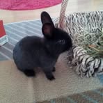 Peggy Ferry - Facebook