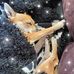 Peggy Feuerstein - Facebook